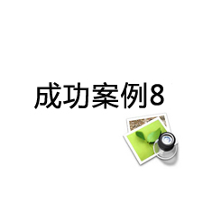 案例8標(biāo)題